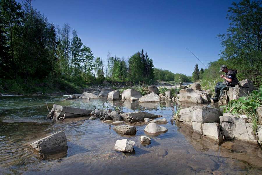 Czarny Dunajec wędkarstwo muchowe