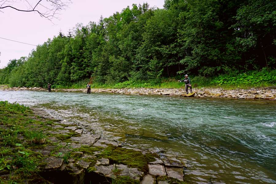 Czarny Dunajec wędkarstwo muchowe