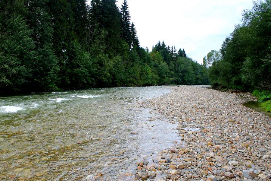 rzeka Czarny Dunajec